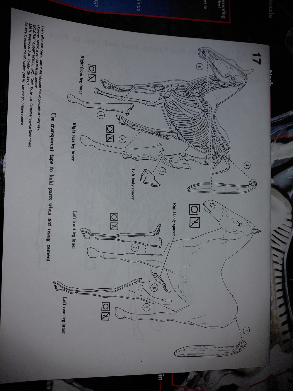 Visible Horse Anatomy Kit - Brown Educational Model for Kids - Picture 3 of 3